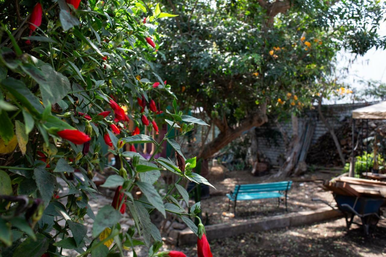 Hostel Kaminu Barranco Lima