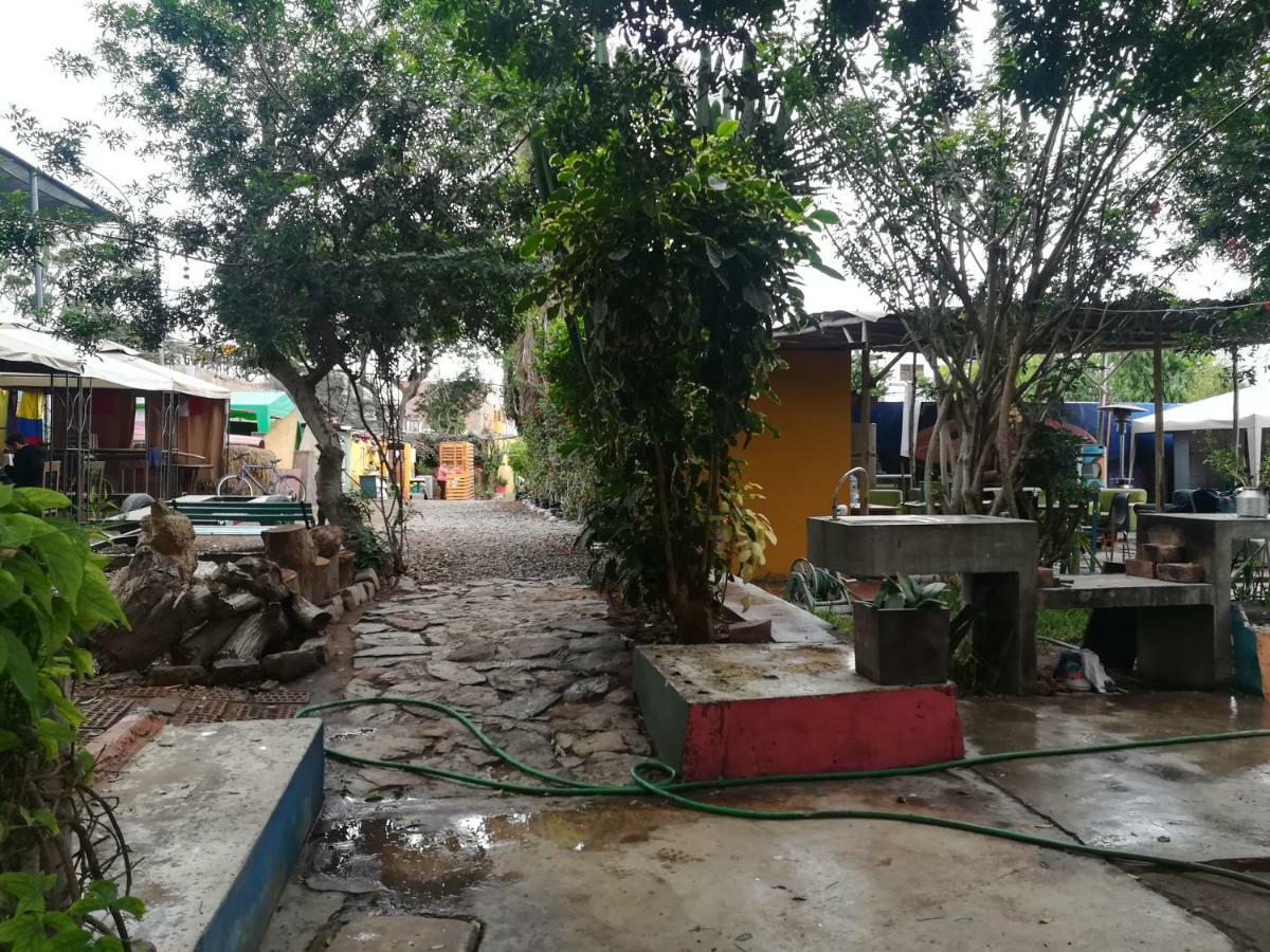 Kaminu Barranco Lima